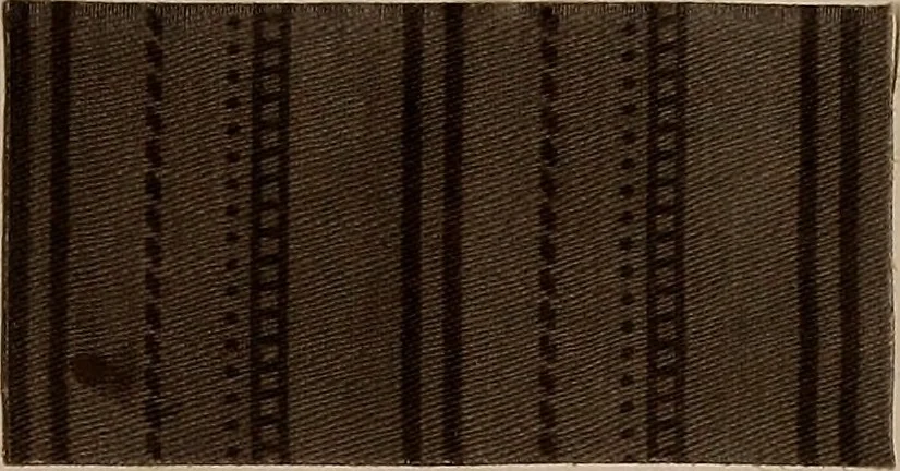 An illustration from Application of the benzidine colours in all branches of printing, 1898, leaf 68