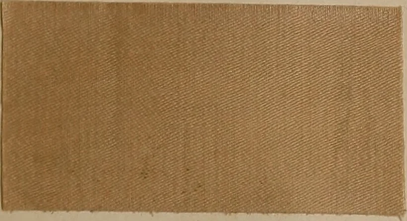 An illustration from Application of the benzidine colours in all branches of printing, 1898, leaf 72