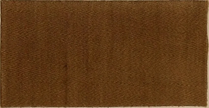 An illustration from Application of the benzidine colours in all branches of printing, 1898, leaf 72
