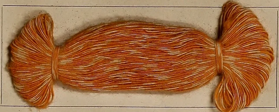 An illustration from Application of the benzidine colours in all branches of printing, 1898, leaf 82