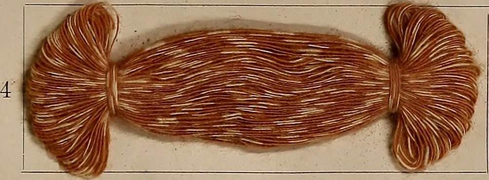 An illustration from Application of the benzidine colours in all branches of printing, 1898, leaf 82