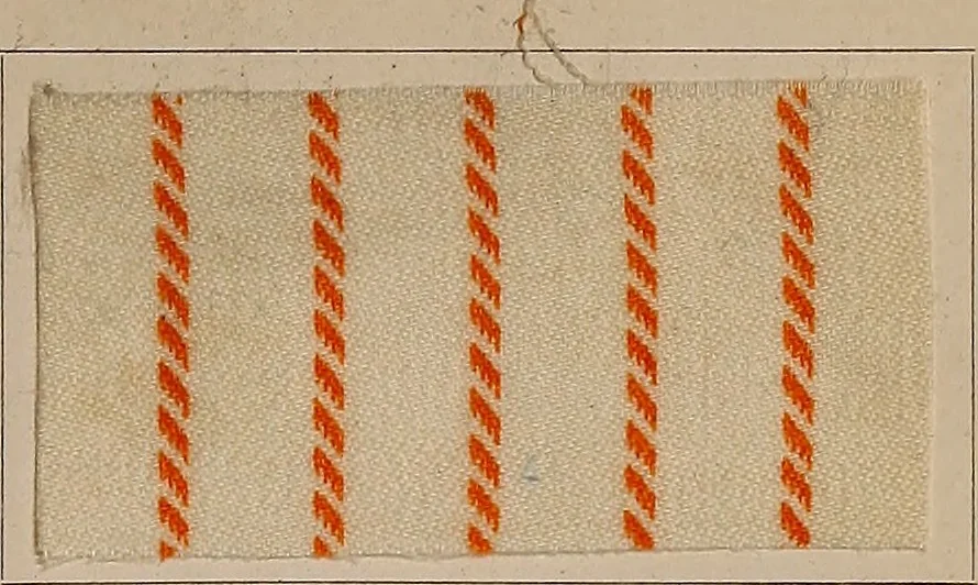 An illustration from Application of the benzidine colours in all branches of printing, 1898, leaf 94
