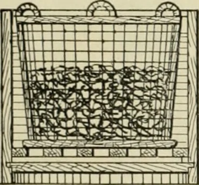 An illustration from Application of dyestuffs to textiles, paper, leather and other materials, 1920, leaf 43