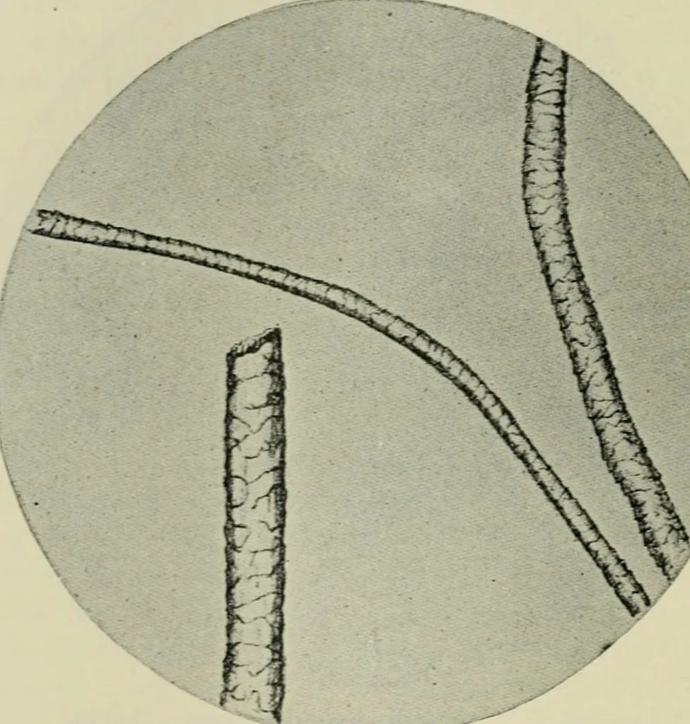 An illustration from Application of dyestuffs to textiles, paper, leather and other materials, 1920, leaf 547