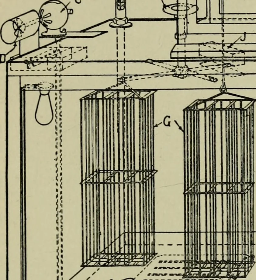 An illustration from Application of dyestuffs to textiles, paper, leather and other materials, 1920, leaf 76