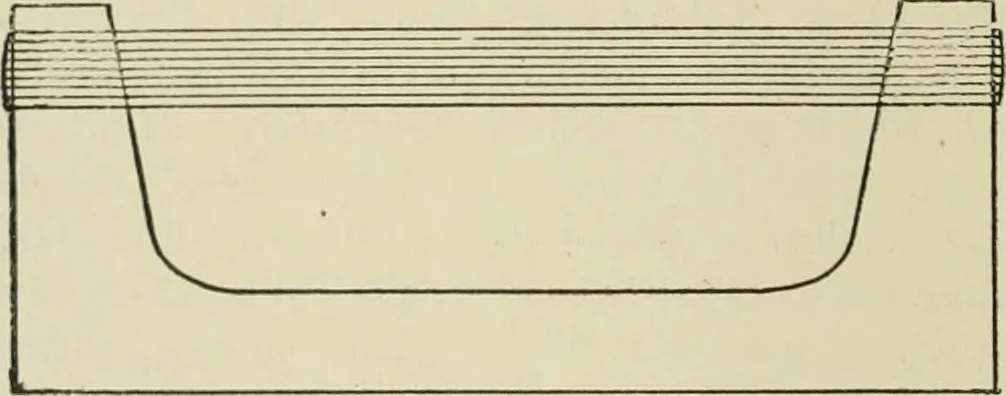 An illustration from Application of dyestuffs to textiles, paper, leather and other materials, 1920, leaf 87