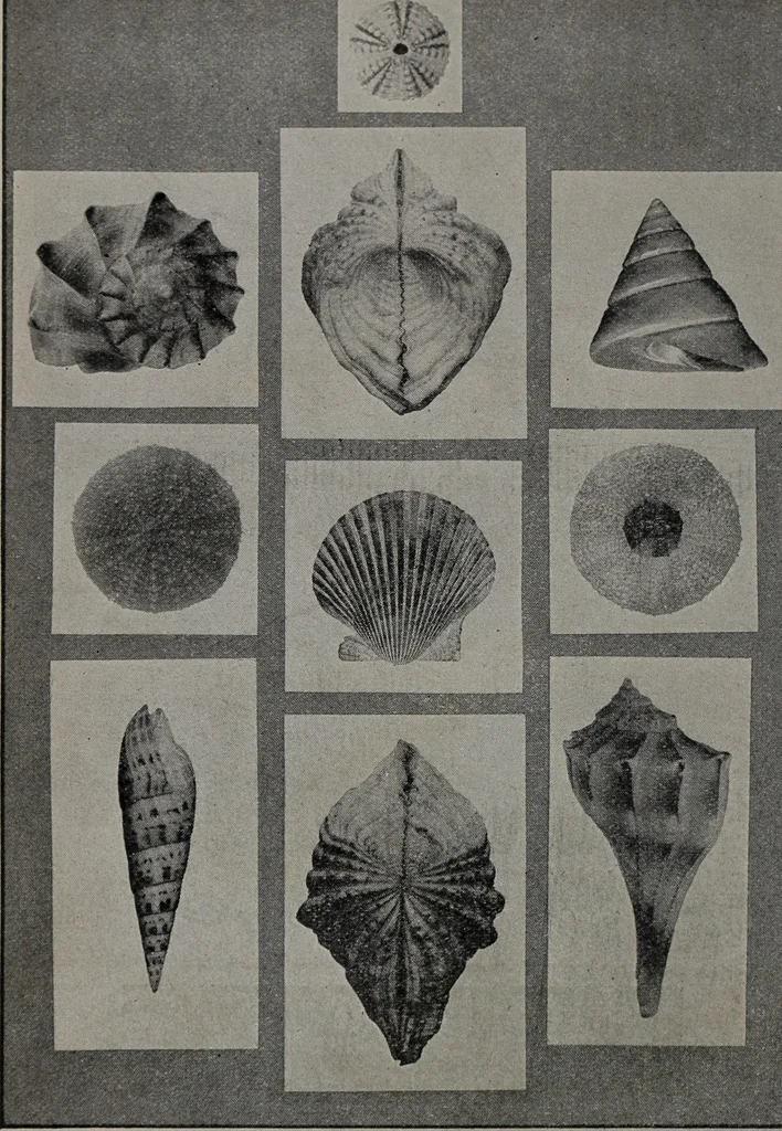 An illustration from Applied drawing, 1916, leaf 101
