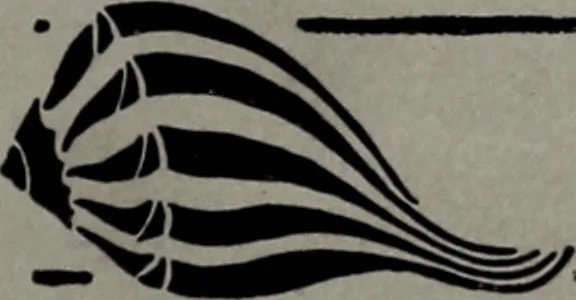 An illustration from Applied drawing, 1916, leaf 102