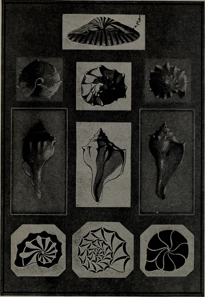 An illustration from Applied drawing, 1916, leaf 103