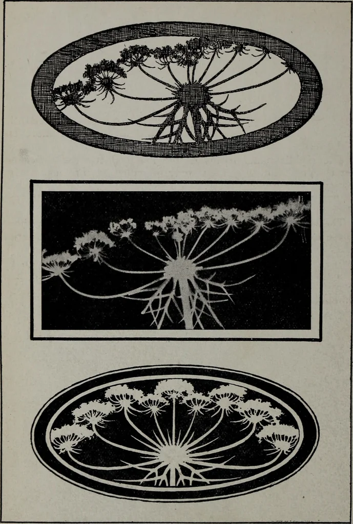 An illustration from Applied drawing, 1916, leaf 105