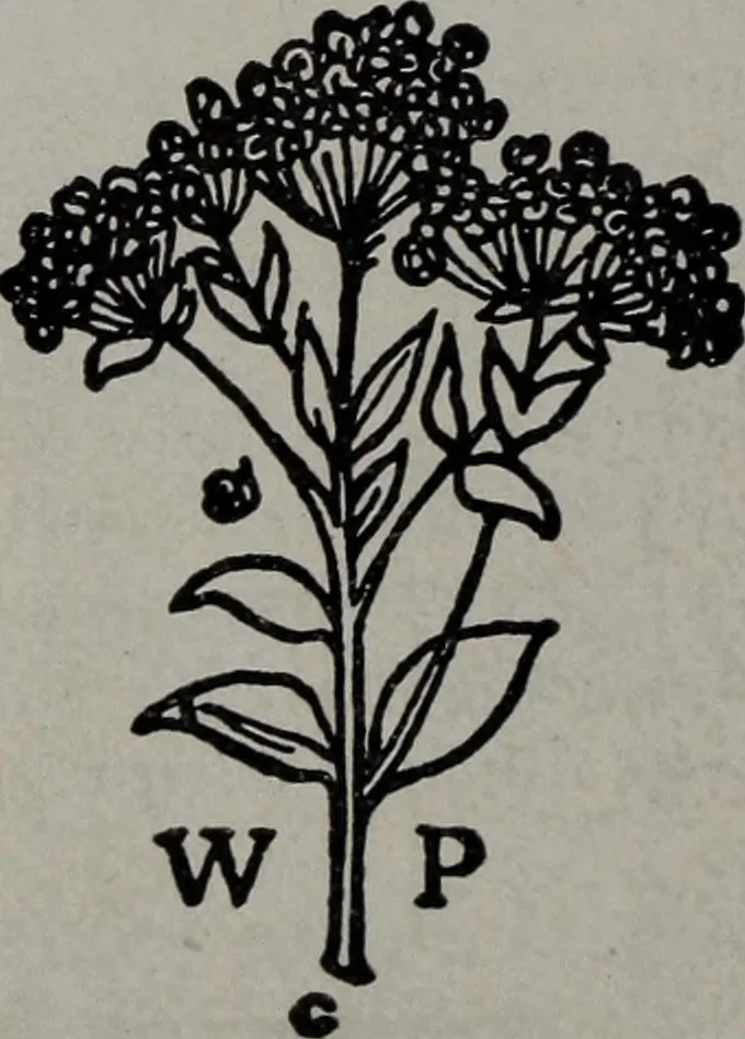 An illustration from Applied drawing, 1916, leaf 123