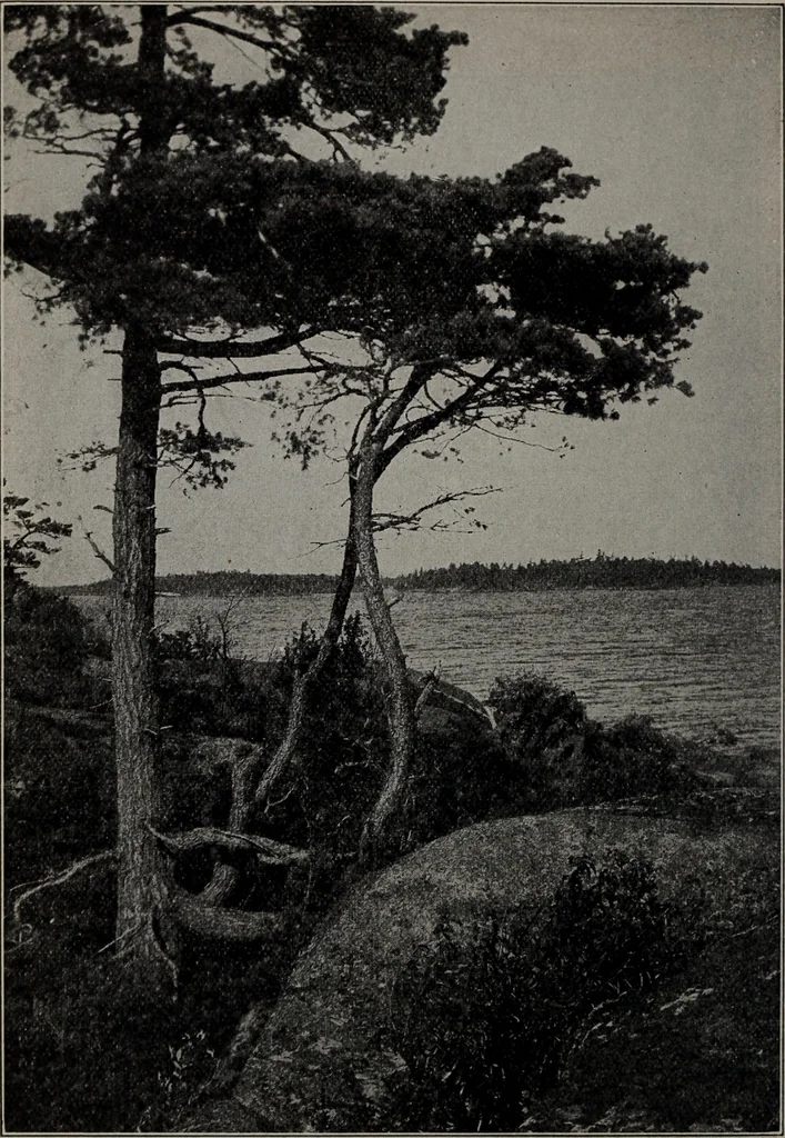 An illustration from Applied drawing, 1916, leaf 169