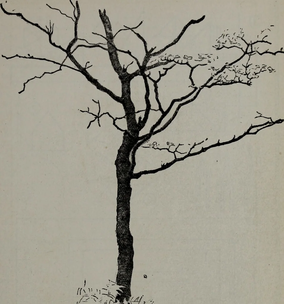 An illustration from Applied drawing, 1916, leaf 186
