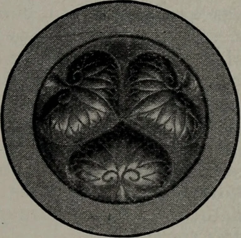 An illustration from Applied drawing, 1916, leaf 224