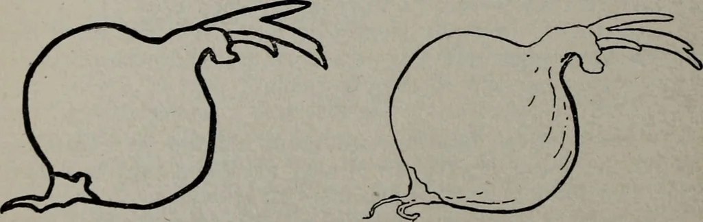 An illustration from Applied drawing, 1916, leaf 231