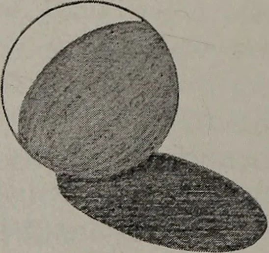 An illustration from Applied drawing, 1916, leaf 247