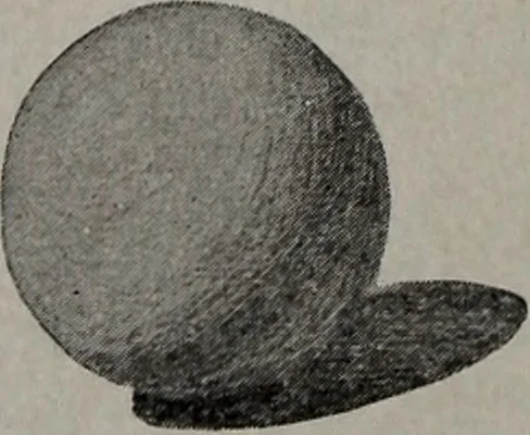 An illustration from Applied drawing, 1916, leaf 247