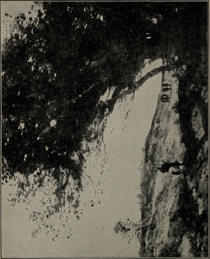 An illustration from Applied drawing, 1916, leaf 265