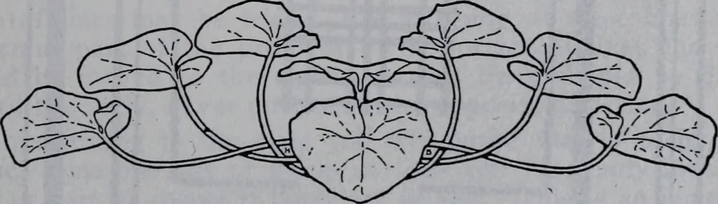 An illustration from Applied drawing, 1916, leaf 30