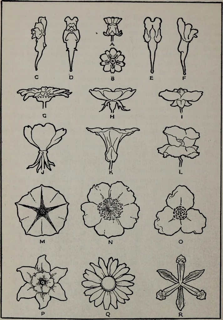 An illustration from Applied drawing, 1916, leaf 67