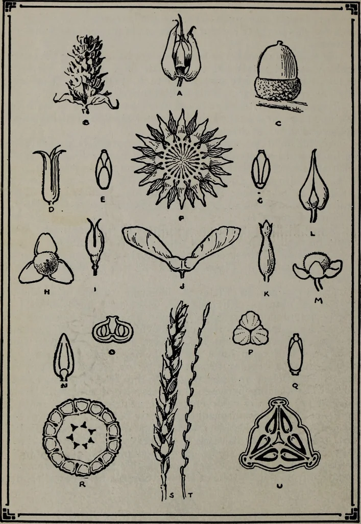 An illustration from Applied drawing, 1916, leaf 69