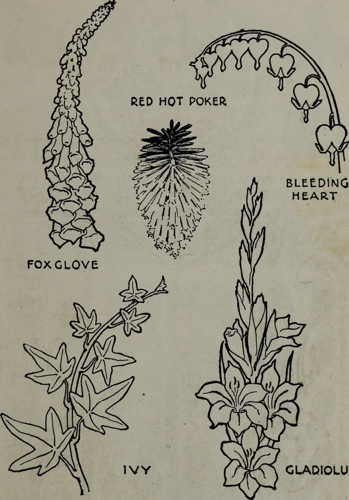 An illustration from Applied drawing, 1916, leaf 70