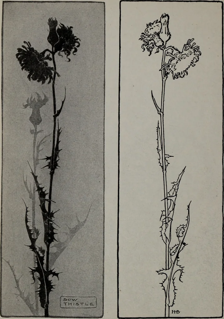 An illustration from Applied drawing, 1916, leaf 81