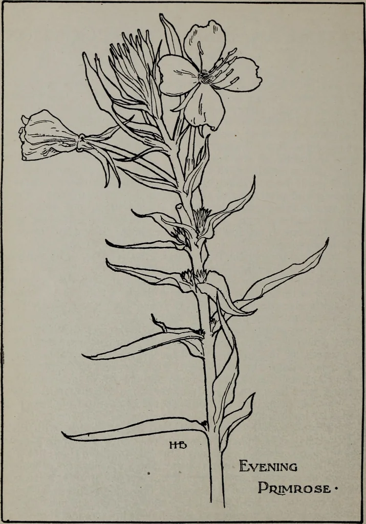 An illustration from Applied drawing, 1916, leaf 83