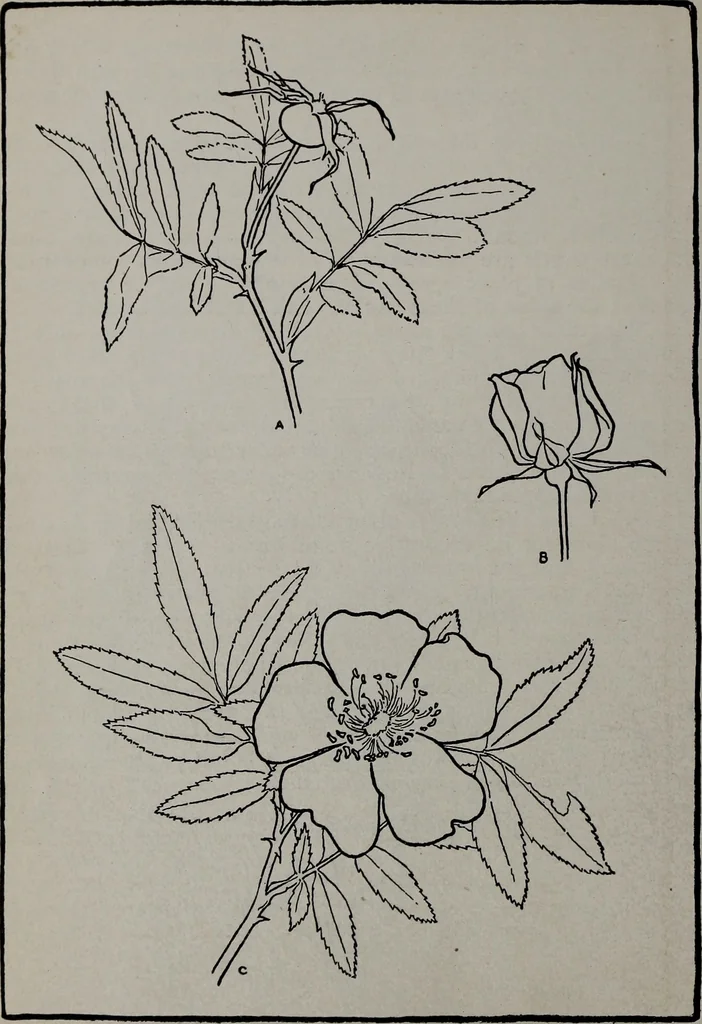 An illustration from Applied drawing, 1916, leaf 89