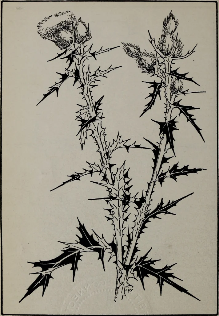 An illustration from Applied drawing, 1916, leaf 91