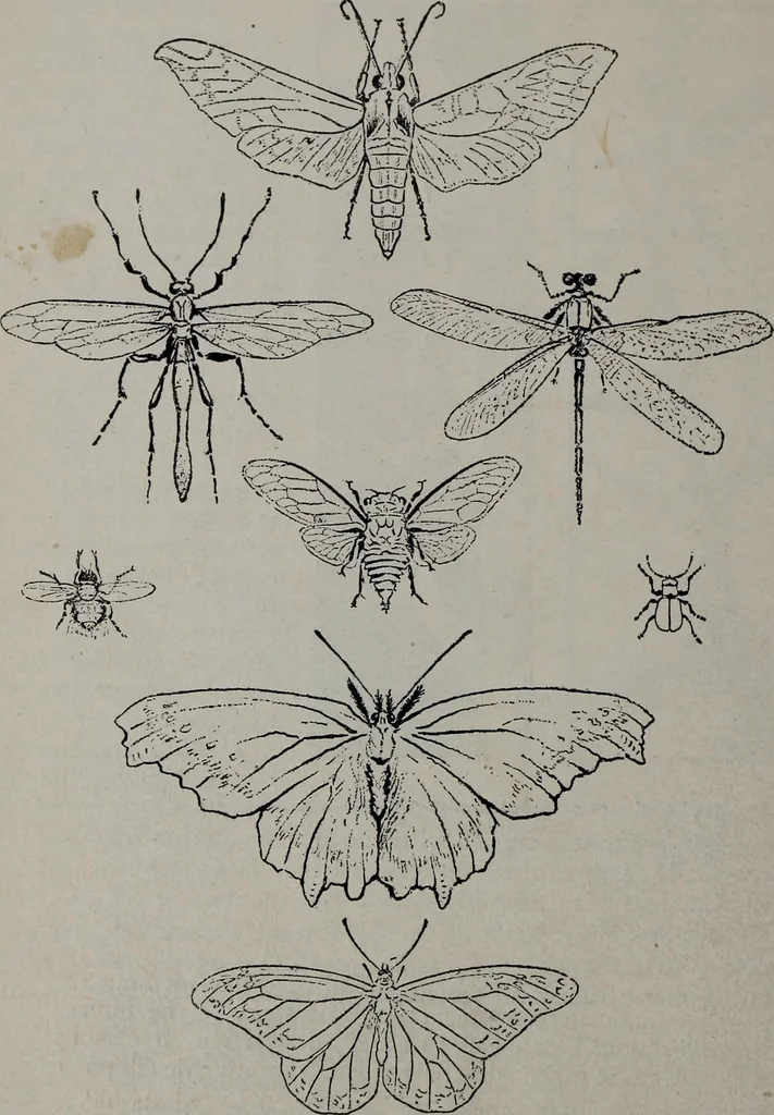 An illustration from Applied drawing, 1916, leaf 97