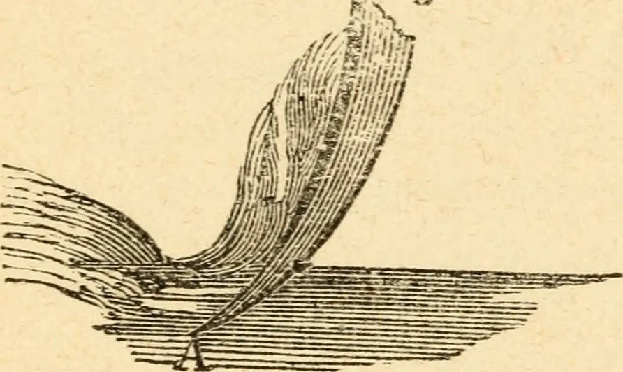 An illustration from The apprentice, or First book for mechanics, machinists, and engineers, 1860, leaf 101