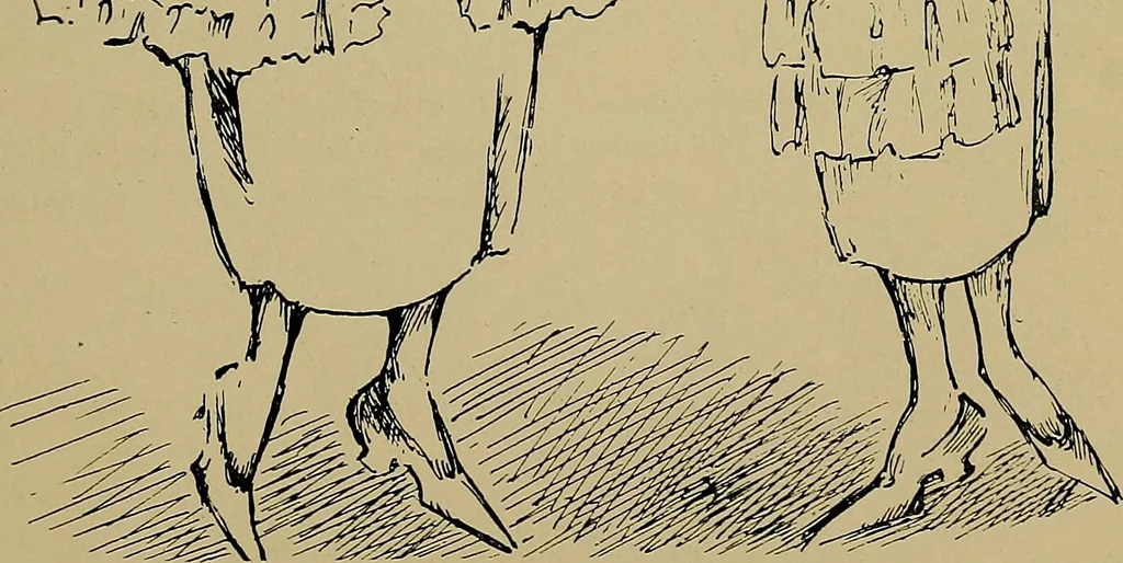 An illustration from Appropriate clothes for the high school girl, 1920, leaf 24