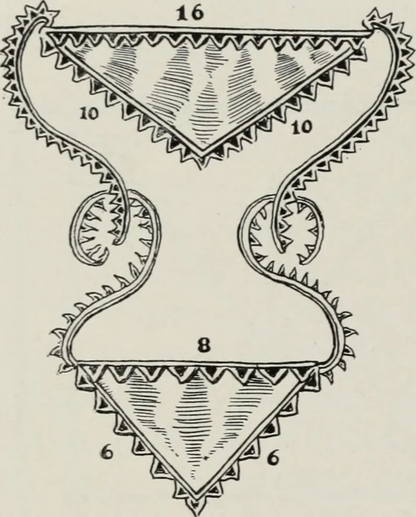 An illustration from The apron : its traditions, history and secret significances, 1914, leaf 27