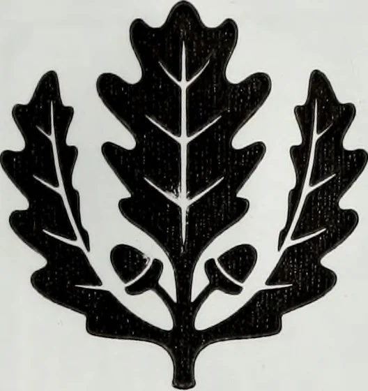 An illustration from Apulien, 1914, leaf 214