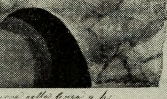 An illustration from Apulien, 1914, leaf 89