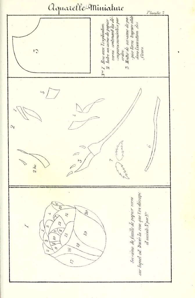 An illustration from Aquarelle-miniature perfectionnée : reflets métalliques et chatoyans et peinture a l'huile sur velours en six leçons : sans maître et sans qu'il soit nécessaire d'avoir aucune notion de dessin, suivies de moyens pour esquisser de suite d'après nature, avec toutes les réductions progressives que l'on désire : ouvrage orné de quinze sujets dont sept peints à la main avec toutes les explications pour parvenir rapidement a l'exécution, 1835, leaf 323