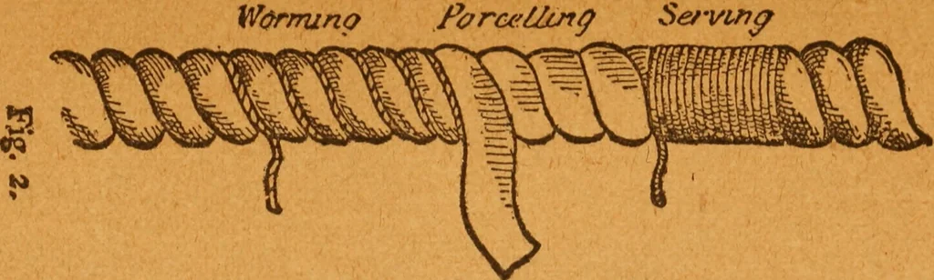 An illustration from Aquatic guide;, 1891, leaf 16