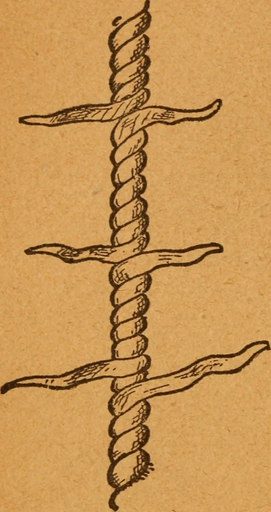 An illustration from Aquatic guide;, 1891, leaf 17