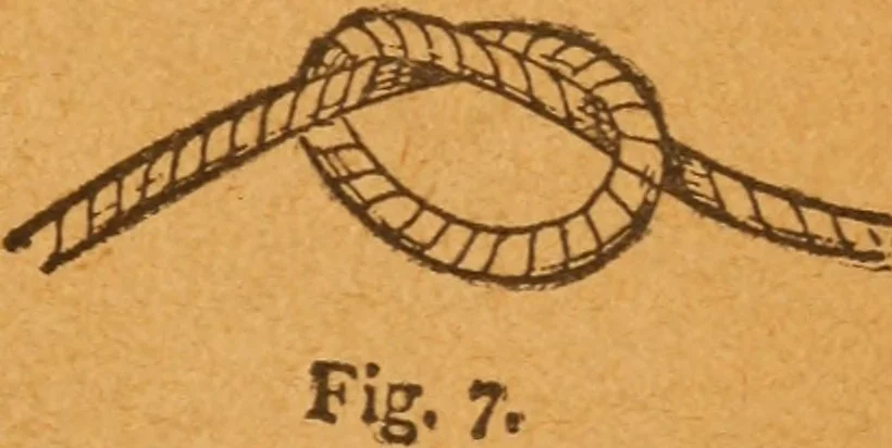 An illustration from Aquatic guide;, 1891, leaf 18