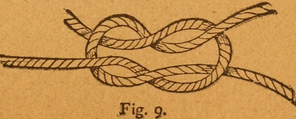 An illustration from Aquatic guide;, 1891, leaf 18