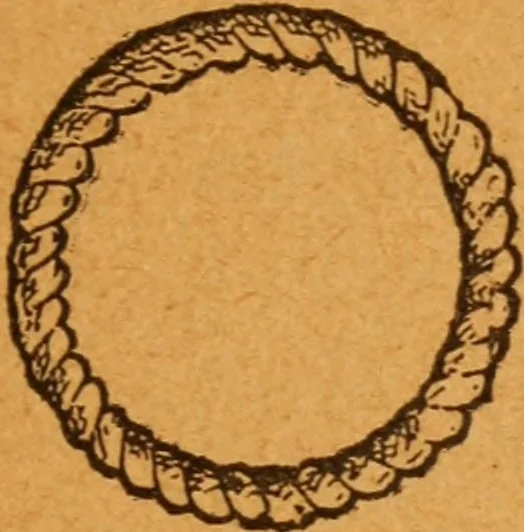 An illustration from Aquatic guide;, 1891, leaf 18