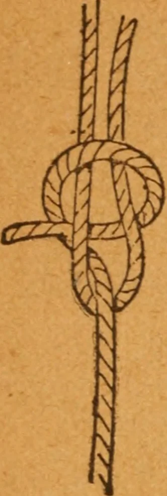 An illustration from Aquatic guide;, 1891, leaf 19