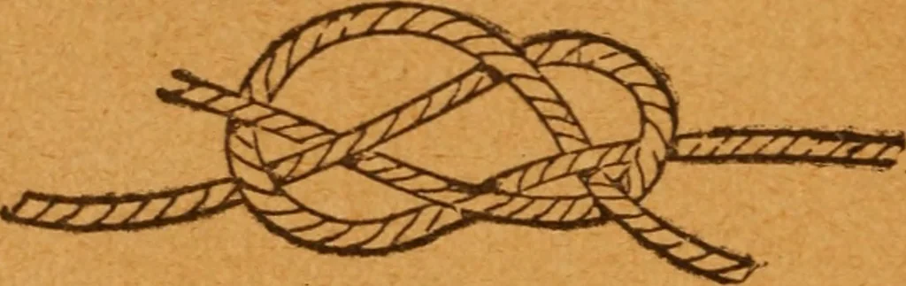 An illustration from Aquatic guide;, 1891, leaf 19