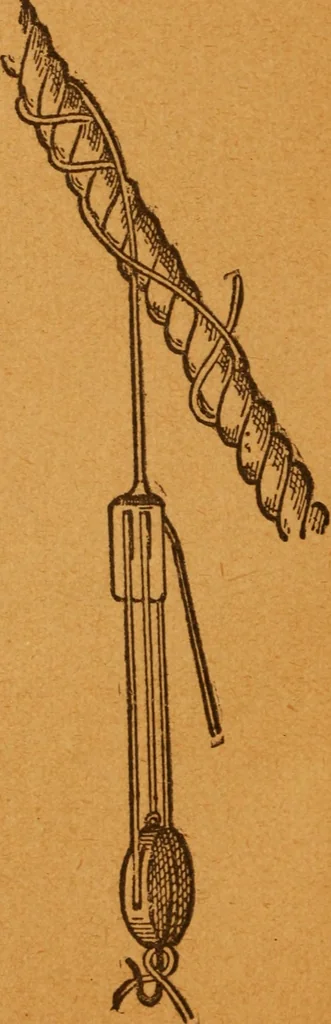 An illustration from Aquatic guide;, 1891, leaf 19