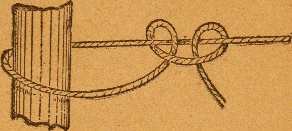 An illustration from Aquatic guide;, 1891, leaf 20
