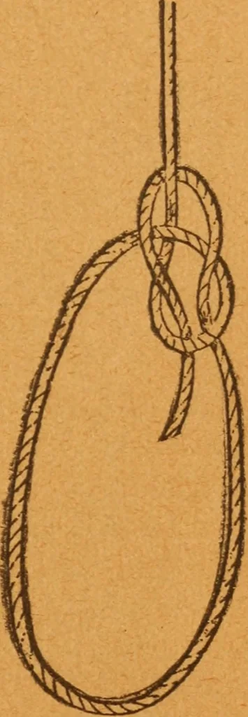 An illustration from Aquatic guide;, 1891, leaf 20