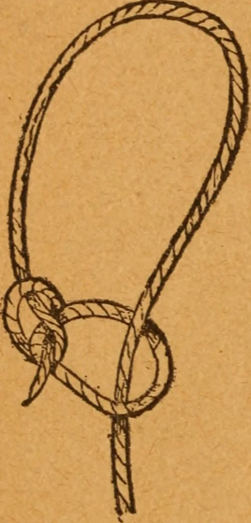 An illustration from Aquatic guide;, 1891, leaf 21