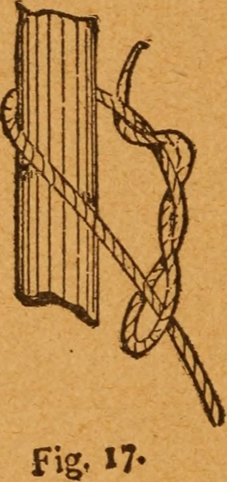 An illustration from Aquatic guide;, 1891, leaf 21