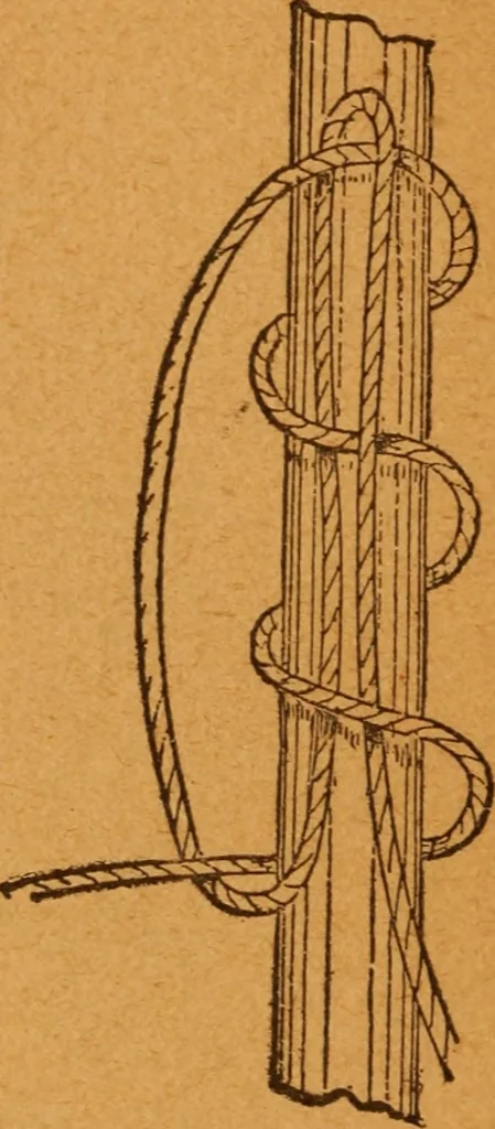 An illustration from Aquatic guide;, 1891, leaf 21